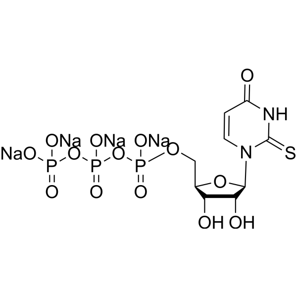 2-Thio-UTP tetrasodium (2-Thiouridine 5′-triphosphate tetrasodium) 1343364-70-4